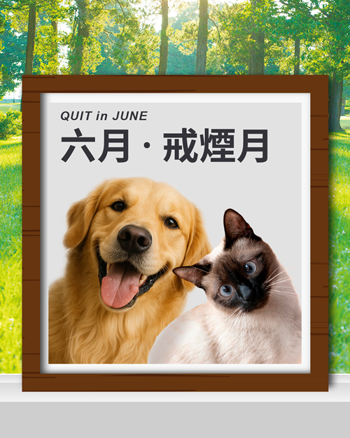 17/6/2025